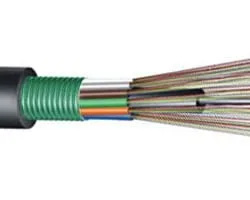 Cáp quang Multimode 24FO (24 Sợi quang) GYTS
