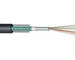 Cáp quang Multimode 8FO (8 Sợi quang) GYXTW